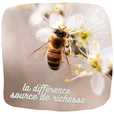 Rencontre Hypersensible et leur proche